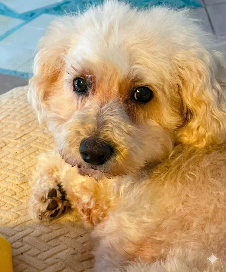 Molly thumbnail 3