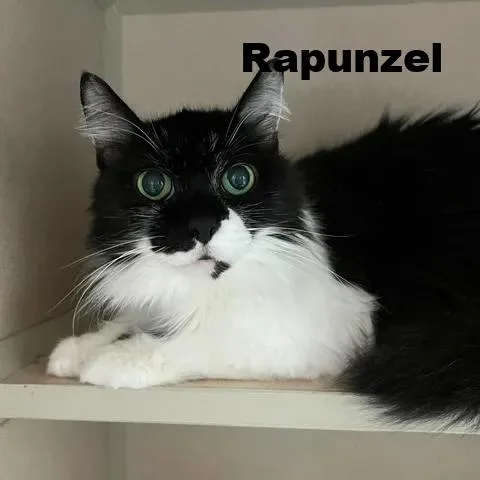 Rapunzel