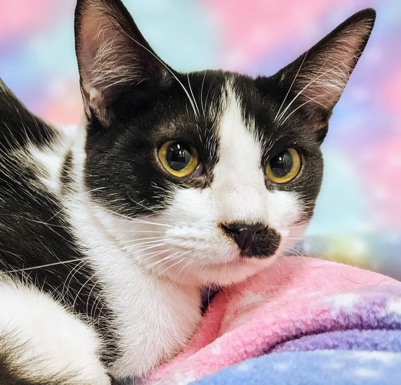 Tucker  Rancho Cucamonga