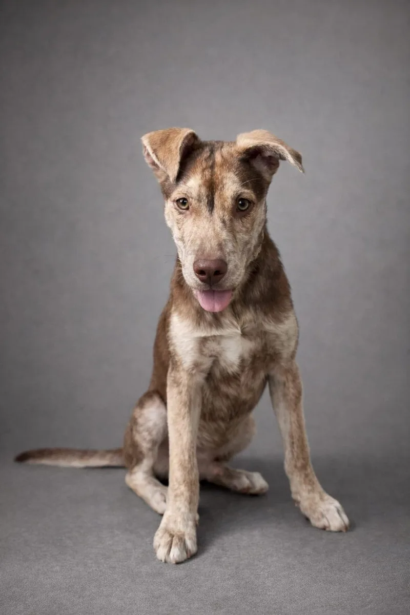 Milkyway thumbnail 4