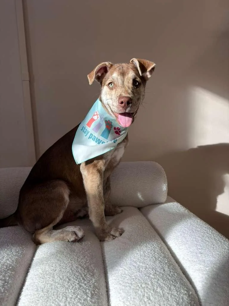 Milkyway thumbnail 5