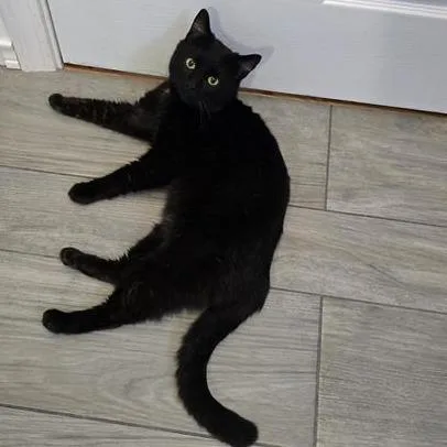 Chatterbox thumbnail 2