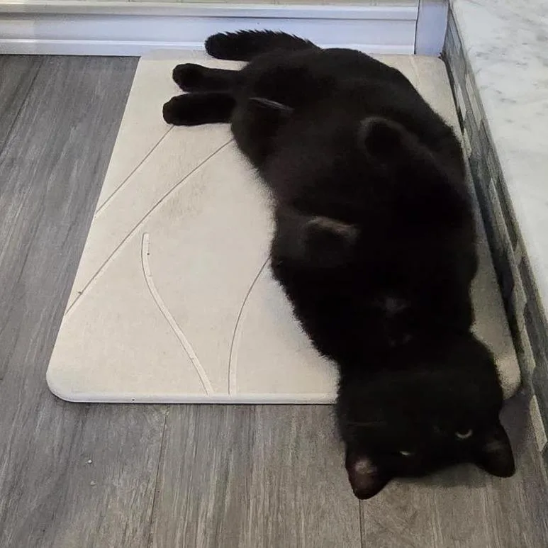 Chatterbox thumbnail 4