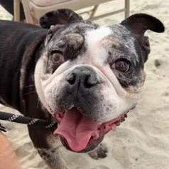 Ms. Sweet Marla thumbnail 2