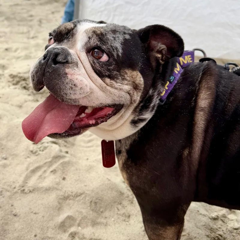 Ms. Sweet Marla thumbnail 3