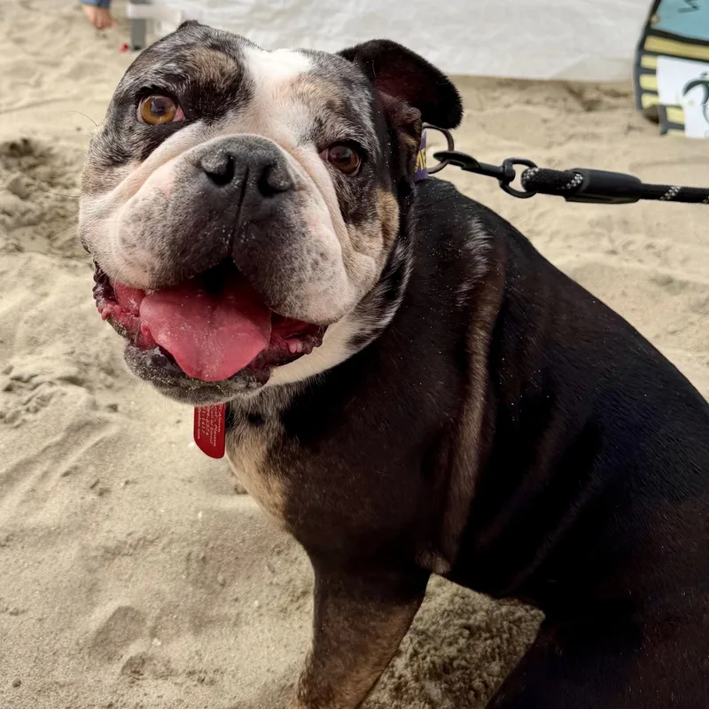 Ms. Sweet Marla thumbnail 5