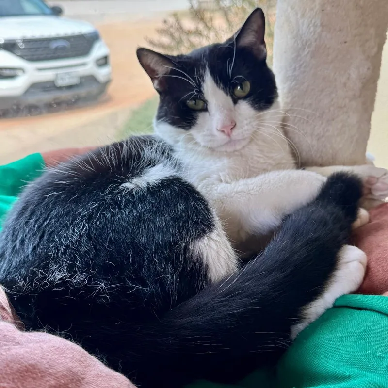 Unsinkable Sam thumbnail 5