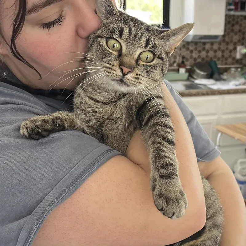 Sunlight thumbnail 2