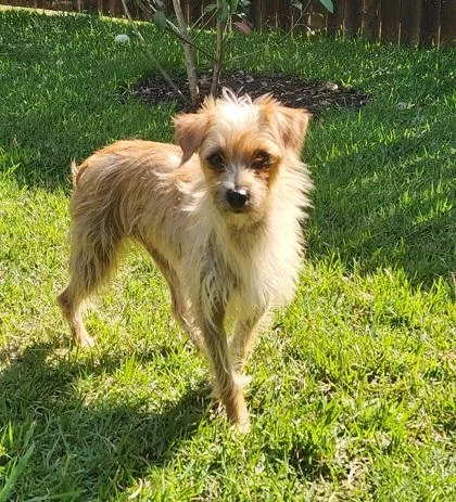 Emily