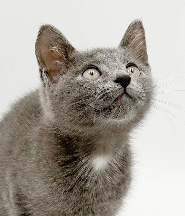 Sawyer is a baby thumbnail 2