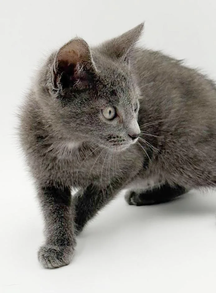 Sawyer is a baby thumbnail 5