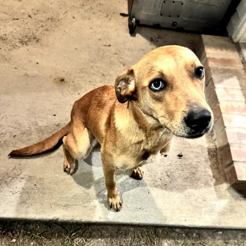 Nala Banks thumbnail 2