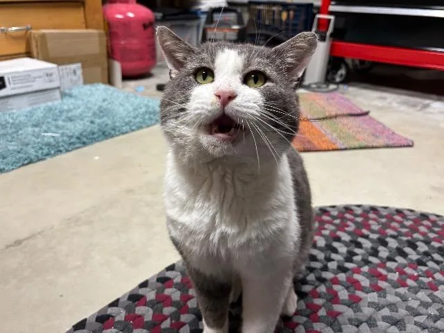 Hamburger thumbnail 3