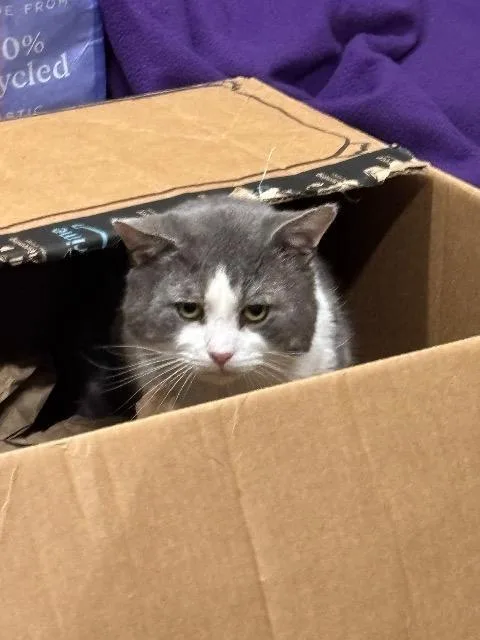 Hamburger thumbnail 5