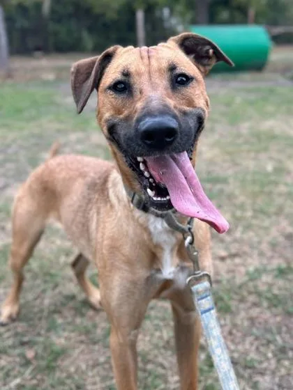 Dolly Parton thumbnail 3