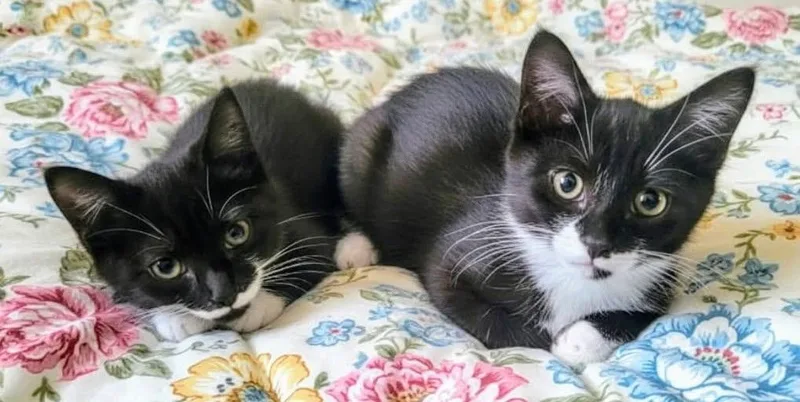 Cathy & Peggy thumbnail 2