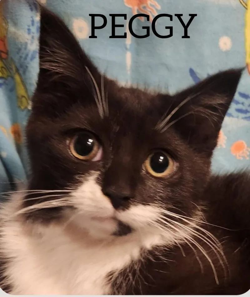 Cathy & Peggy thumbnail 3