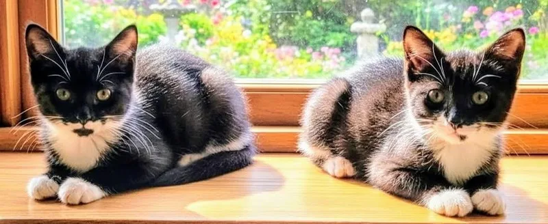 Cathy & Peggy thumbnail 4