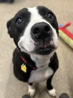 Kiki