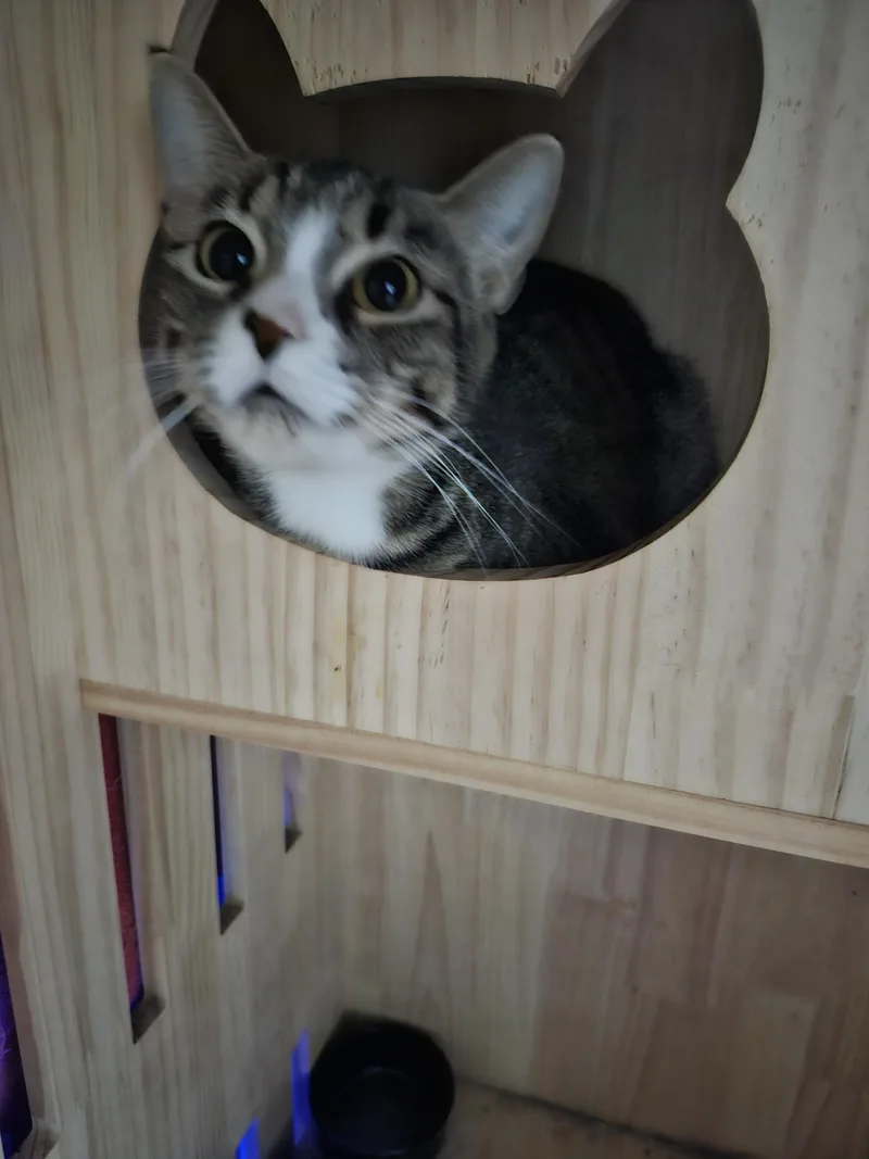 Mimi thumbnail 2