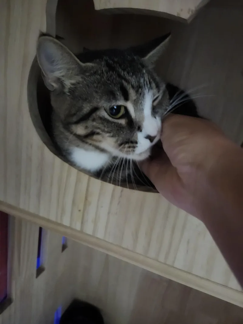 Mimi thumbnail 4
