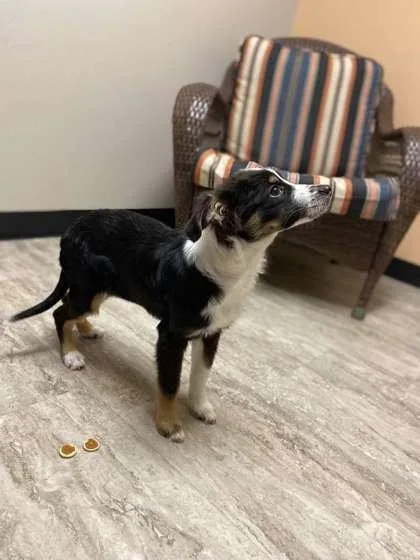 Valrhona thumbnail 2