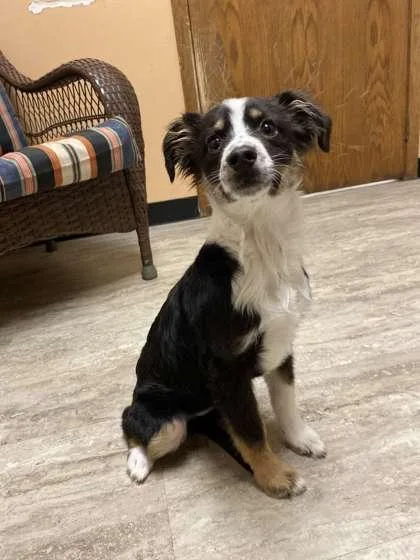 Valrhona thumbnail 3