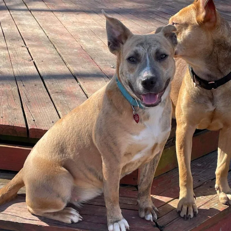 Linda Belcher thumbnail 5