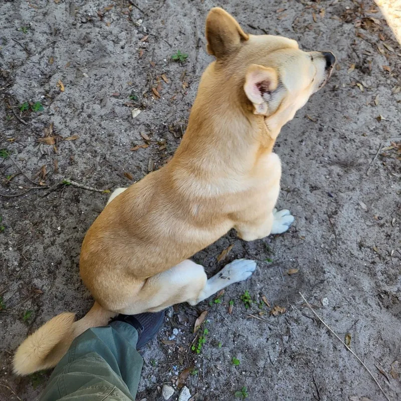 Texas thumbnail 3