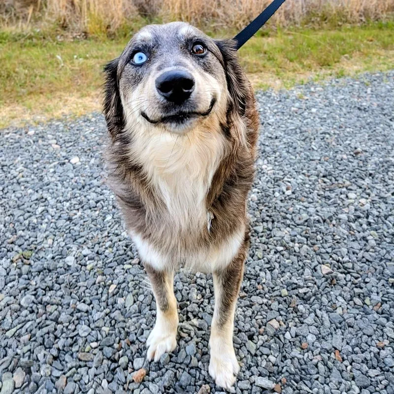 Campbell thumbnail 2