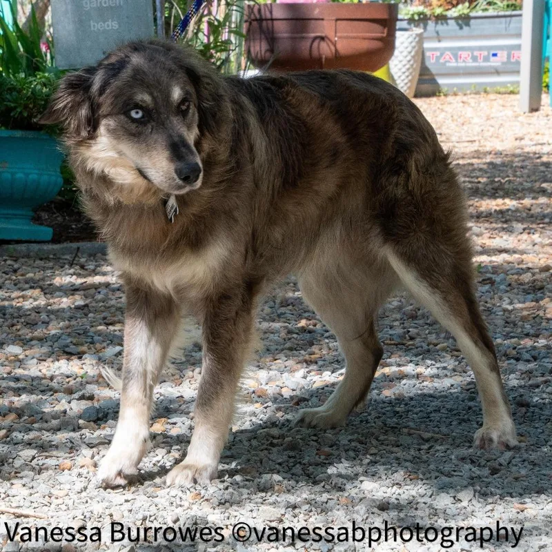 Campbell thumbnail 4