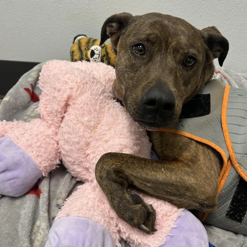 Sadie May thumbnail 3