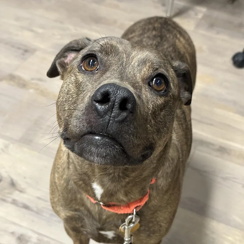 Sadie May thumbnail 5