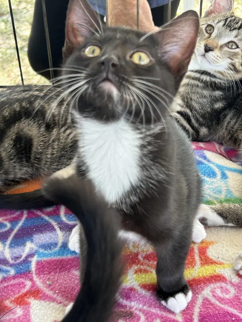 Mickey  Gilley  thumbnail 2