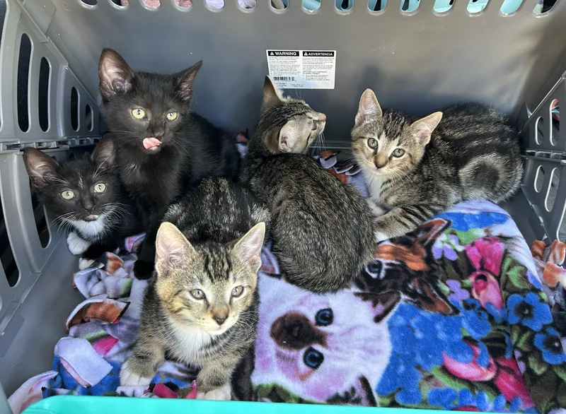 Mickey  Gilley  thumbnail 5