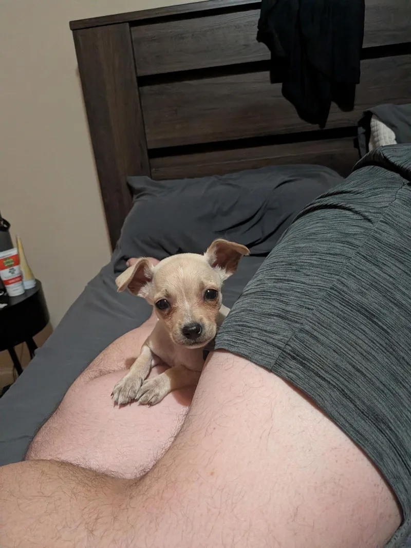 Lola thumbnail 2