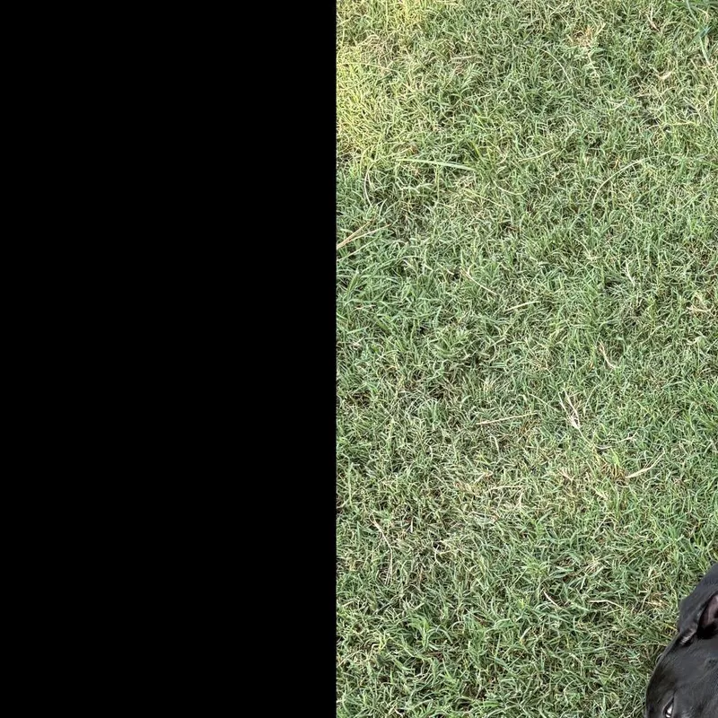 Lucy thumbnail 2