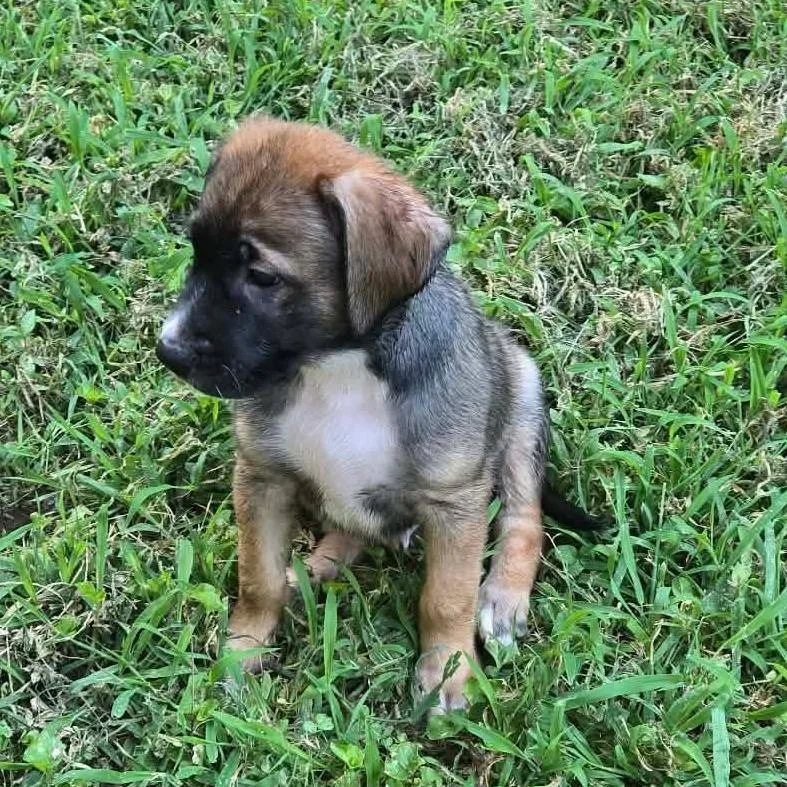 Jack
