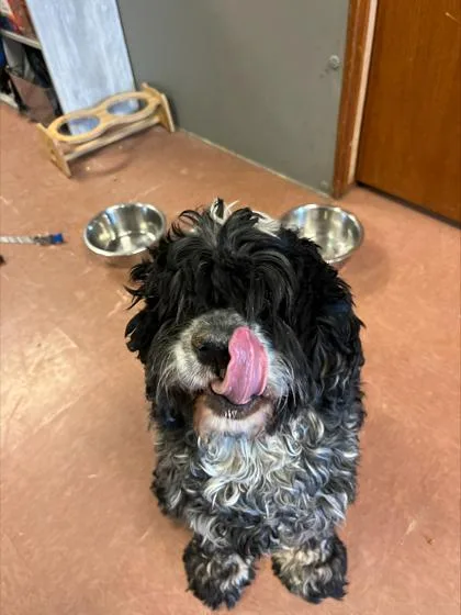 Shinnick thumbnail 2