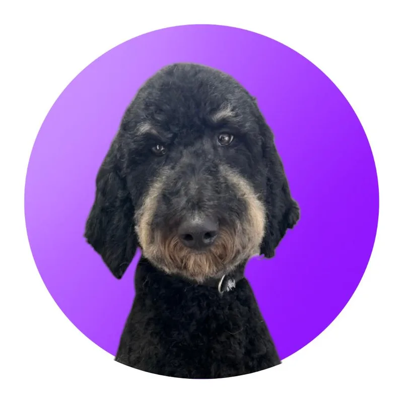 Cooper thumbnail 2