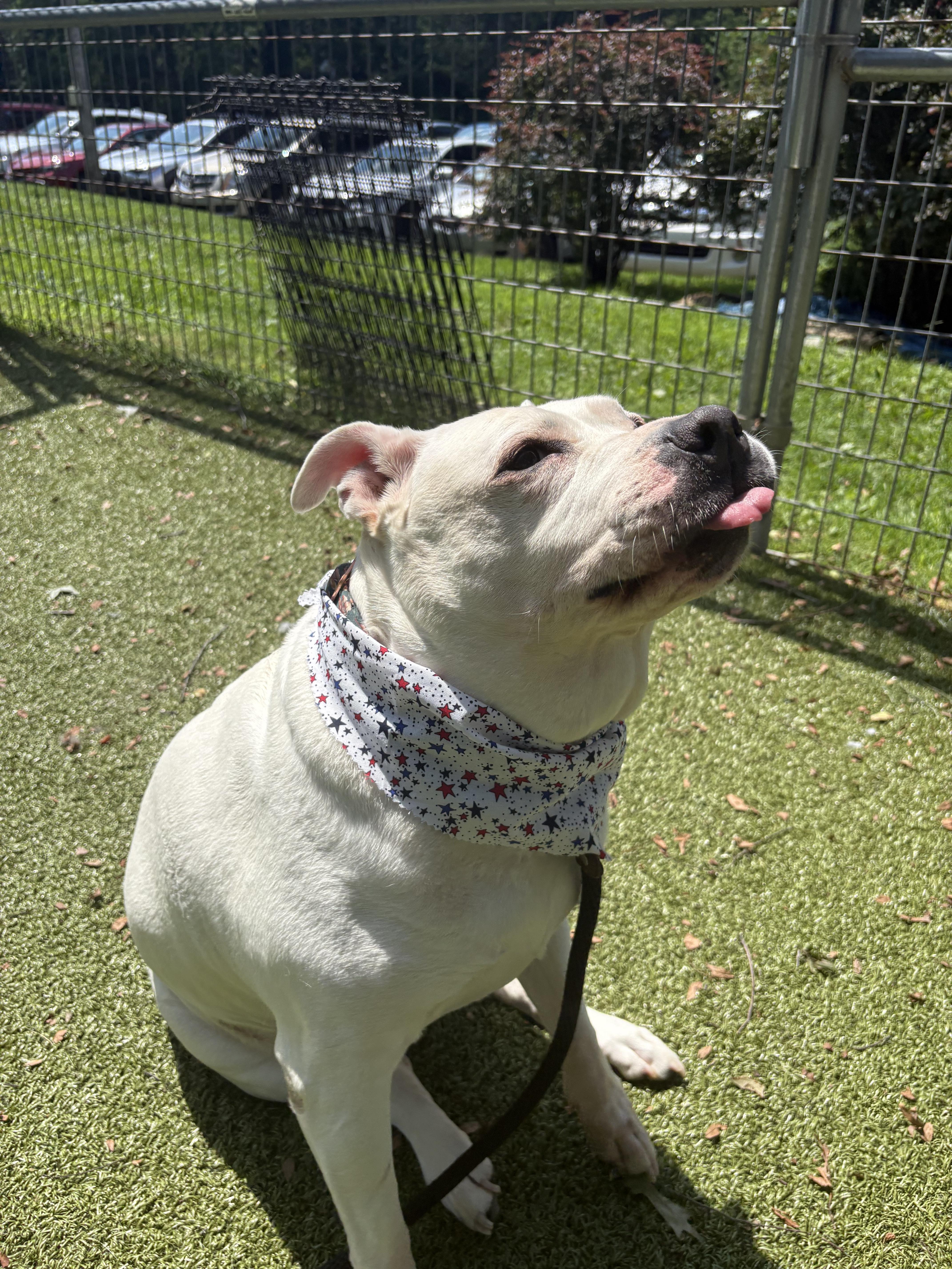 Princess Nova thumbnail 2