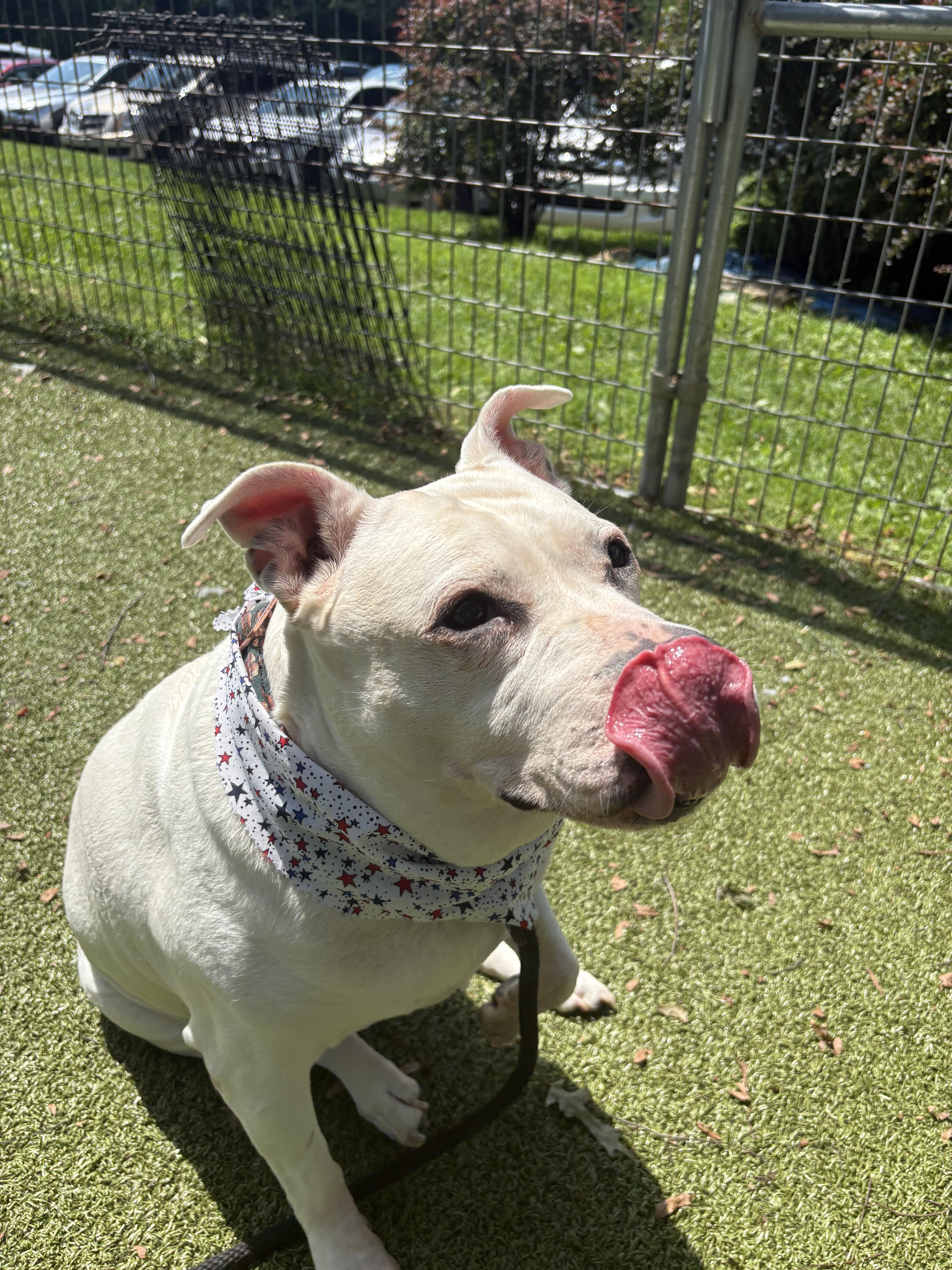 Princess Nova thumbnail 3