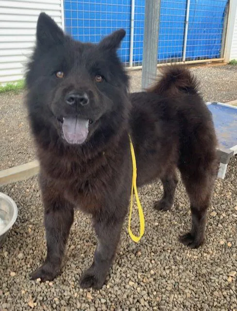 Persephone thumbnail 2