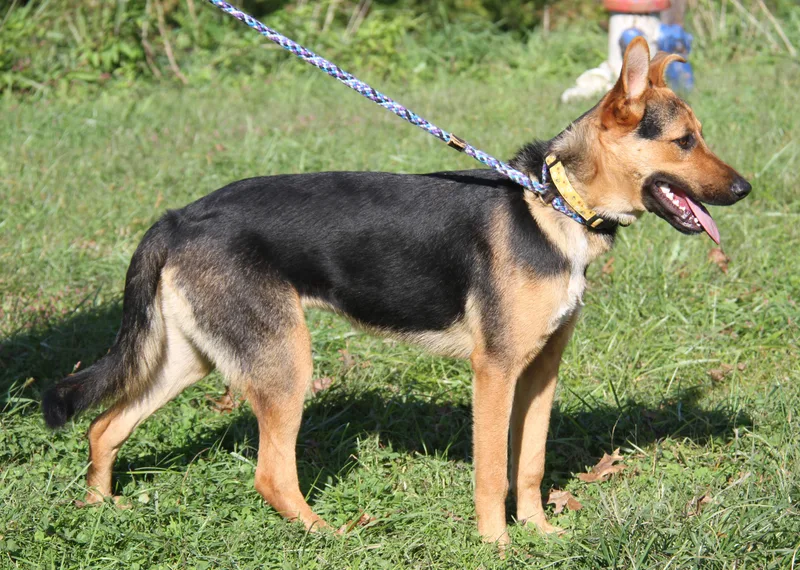 Hyper thumbnail 3
