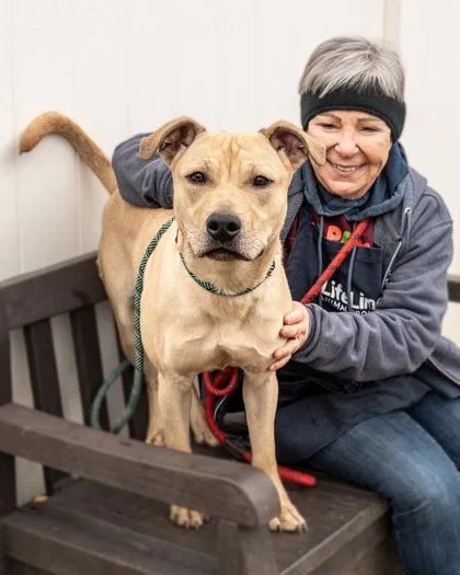 Impressive thumbnail 2