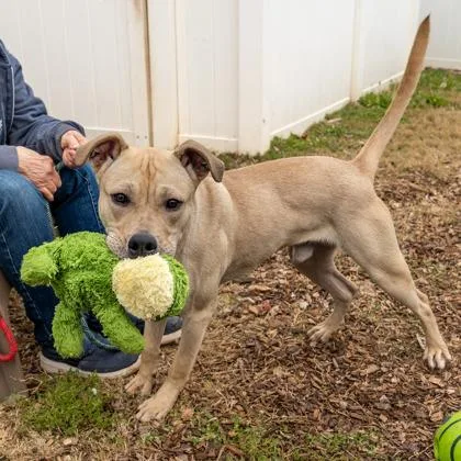 Impressive thumbnail 3