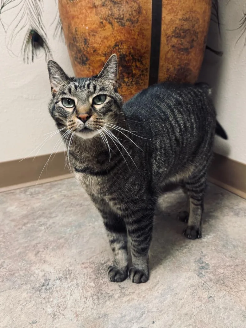 Burt Meet At Avenue thumbnail 2