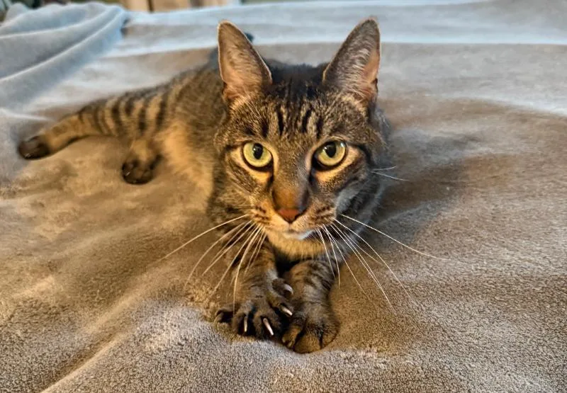 Burt Meet At Avenue thumbnail 3