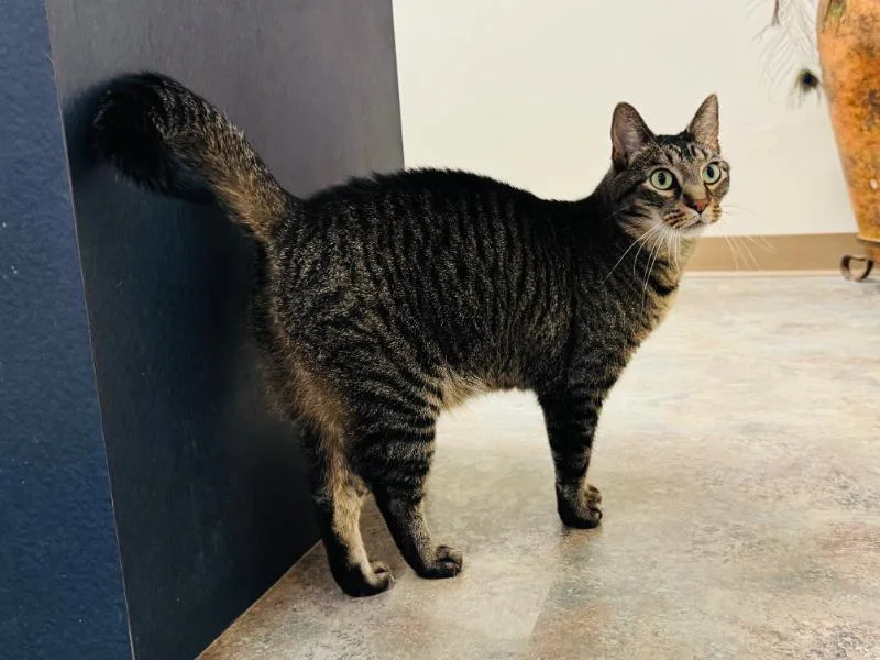 Burt Meet At Avenue thumbnail 4