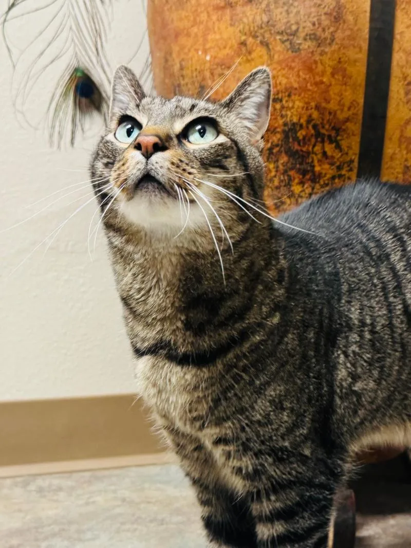 Burt Meet At Avenue thumbnail 5